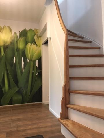„Suedblick“ Gemuetliche Doppelhaushaelfte Appartement Lastrup Buitenkant foto